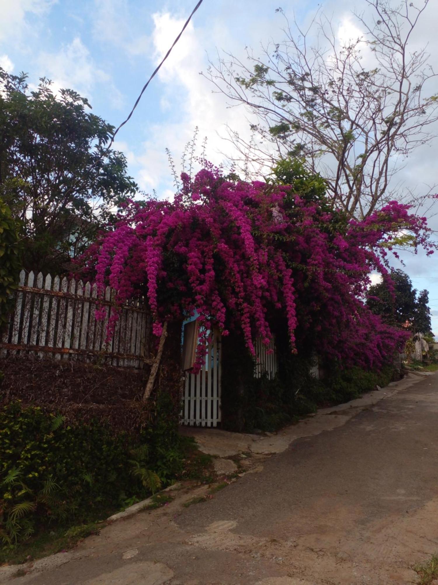Ly'S Homestay Gia Nghia Exterior foto