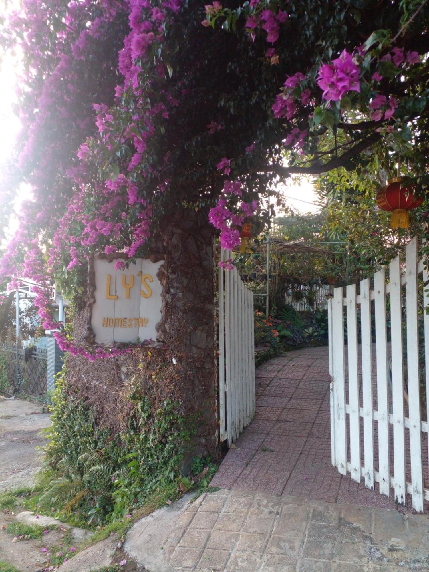 Ly'S Homestay Gia Nghia Exterior foto